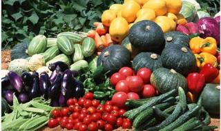 沈阳水果批发市场